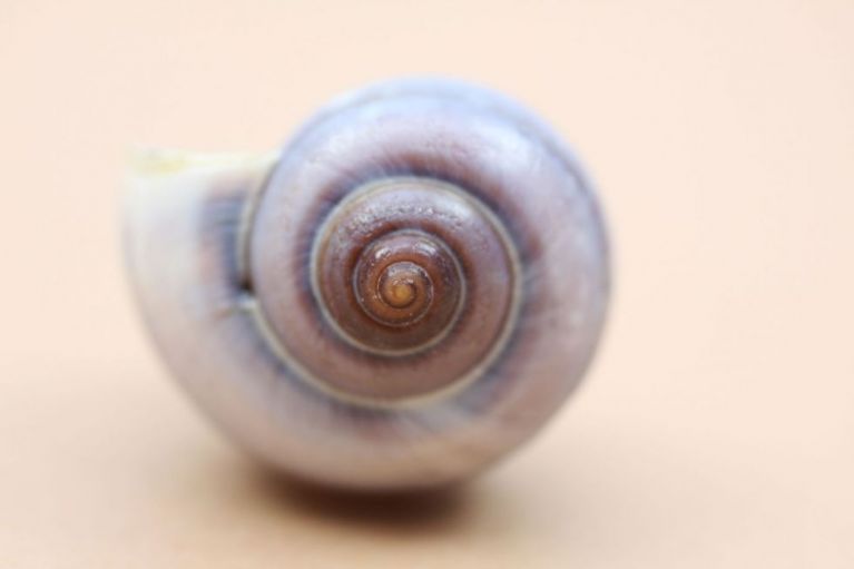 tanzen wie ich bin frauenkreis tanz meditation natur 