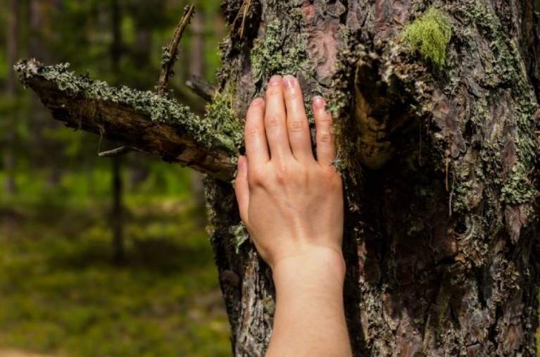 frausein aus liebe zur erde, stefanie heinis, arlesheim, dornach, tanz, natur, meditation, ritual