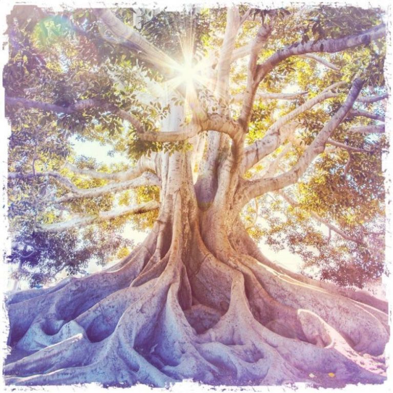 Frausein aus Liebe zur Erde, Stefanie Heinis, Tanz, Ritual, Natur, Herzsingen, Dornach, Arlesheim